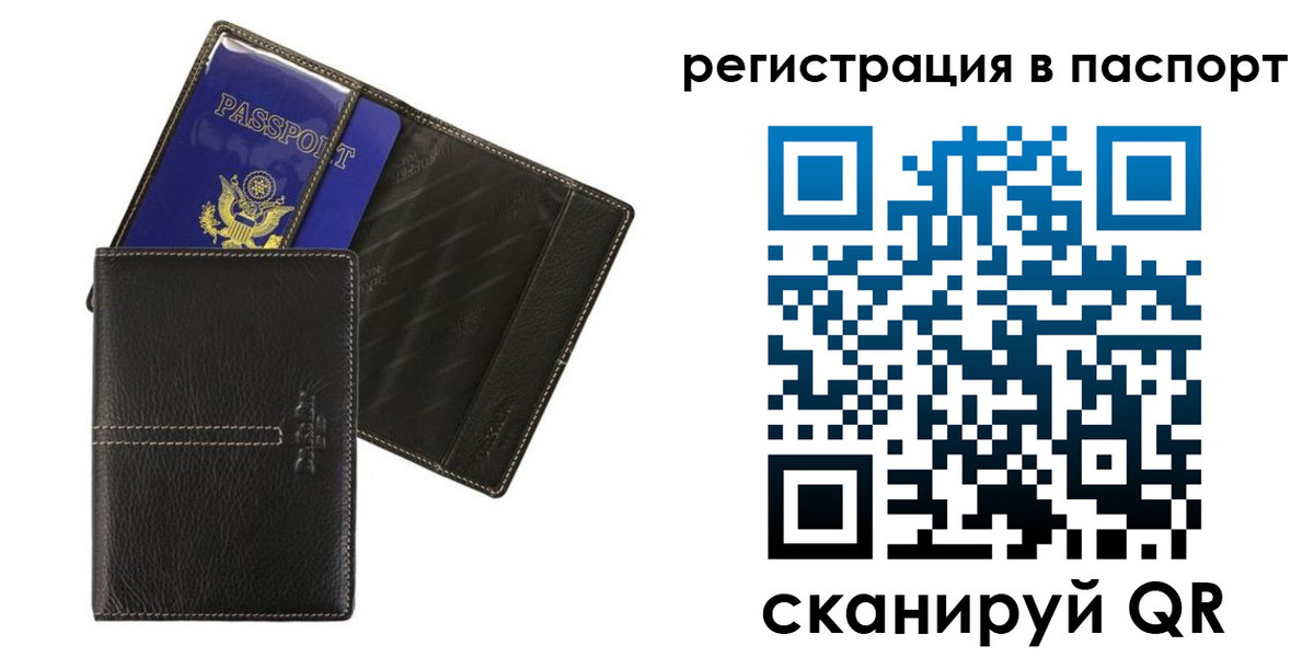 где прописаться в Коле